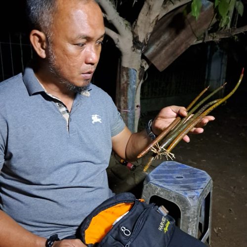 WhatsApp Image 2026-02-03 at 07.47.45