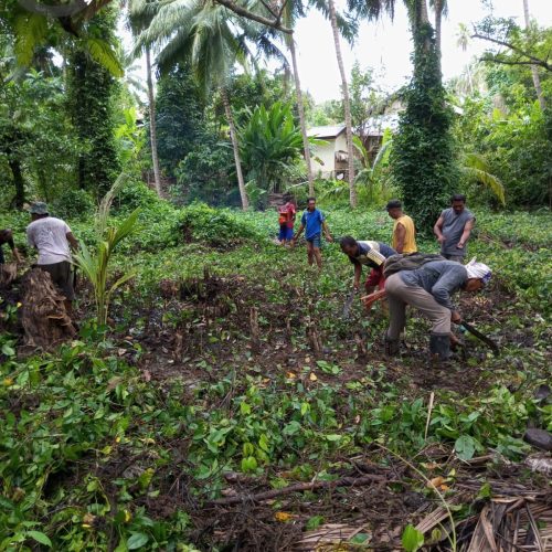 WhatsApp Image 2026-02-08 at 17.28.54