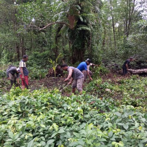 WhatsApp Image 2026-02-08 at 17.28.55