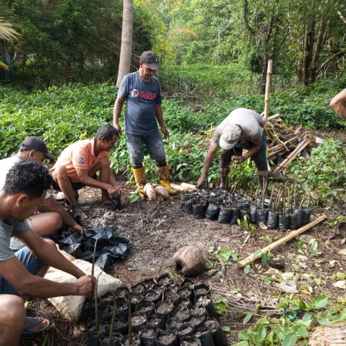 WhatsApp Image 2026-02-15 at 17.05.19