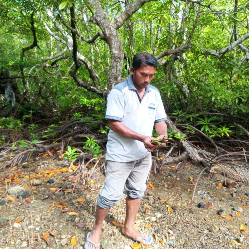 WhatsApp Image 2026-02-15 at 17.35.13