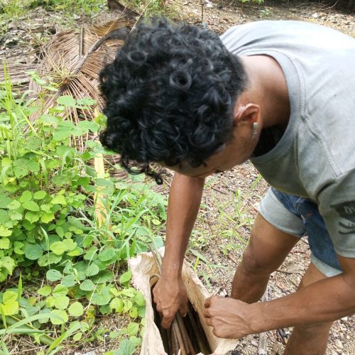 WhatsApp Image 2026-02-15 at 17.35.m13