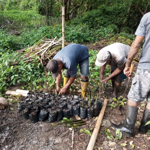 WhatsApp Image 2026-02-1m5 at 17.05.19