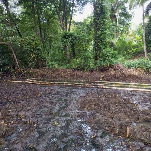 WhatsApp Image 2026-02-23 at 12.54.28